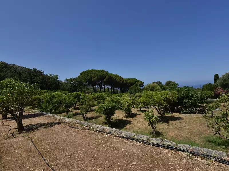 Maison, 235 m²