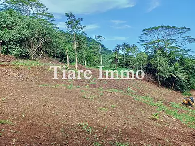 Terrain, 1 600 m²