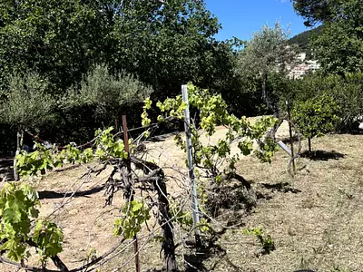 Terrain, 1 410 m²