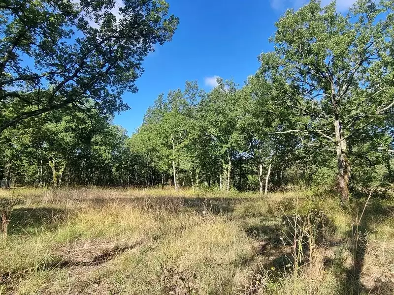 Terrain, 2 954 m²