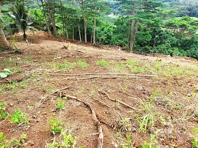 Terrain, 3 500 m²