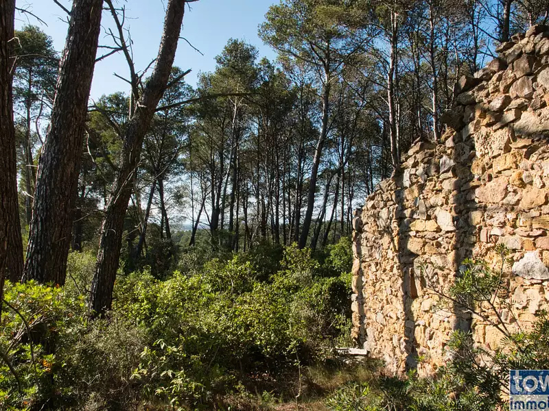 Terrain, 42 302 m²