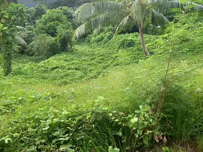 Terrain, 1 070 m²