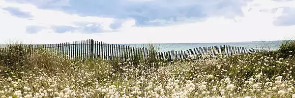 Cynthia MORIZUR Immobilier