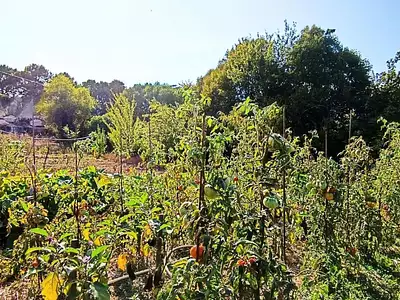 Maison, 56 m²