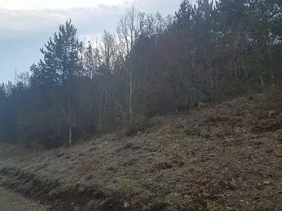 Terrain, 19 793 m²