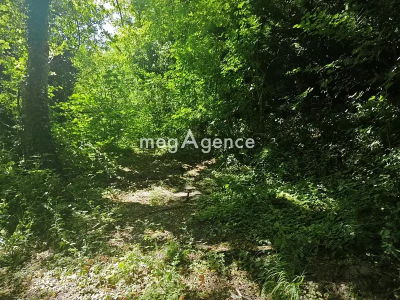 Terrain, 3 260 m²