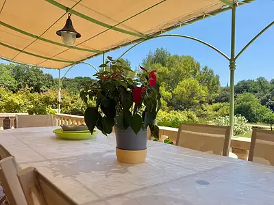 Maison, 216 m²