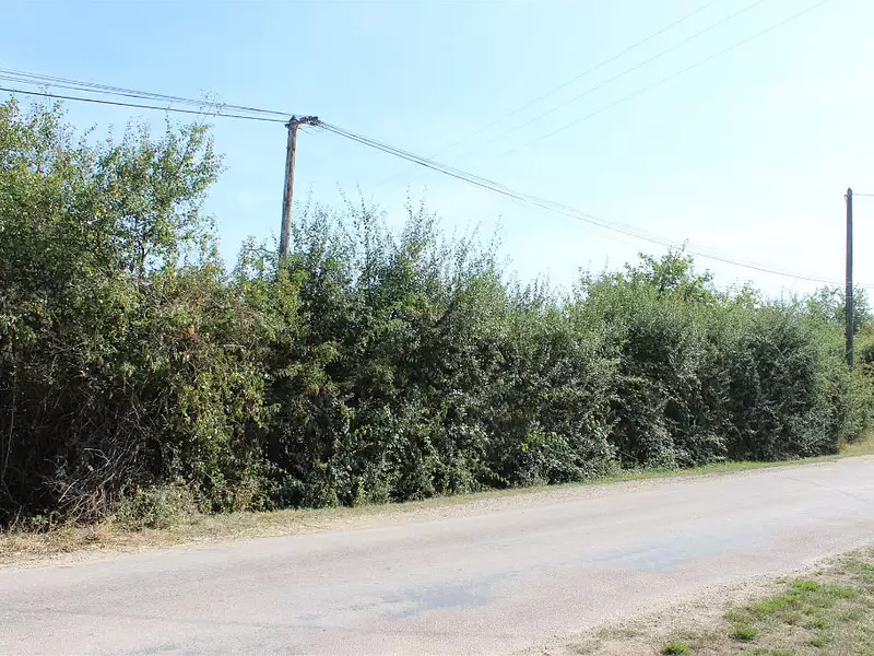 Terrain, 1 054 m²