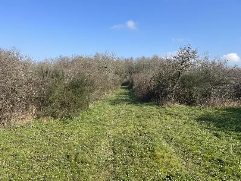 Terrain, 34 900 m²