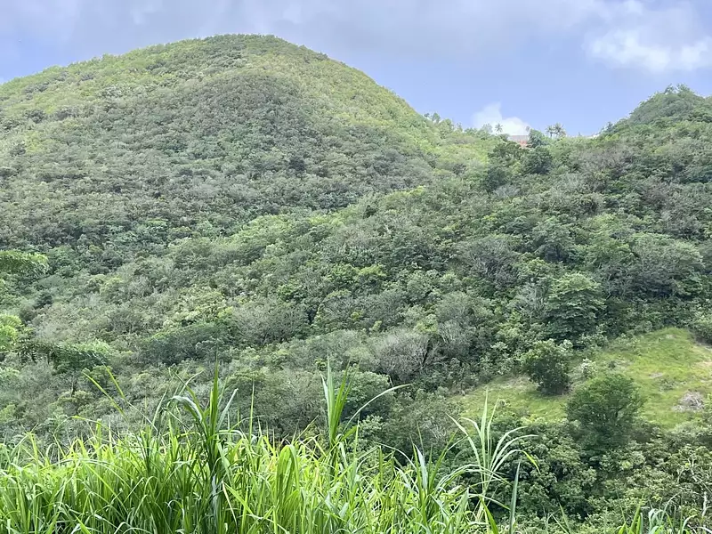 Terrain, 922 m²