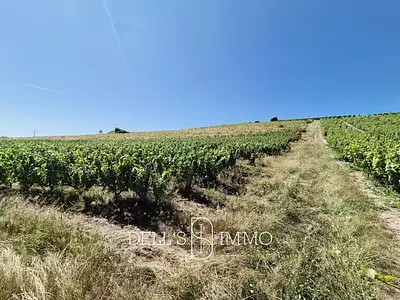 Terrain, 10 600 m²