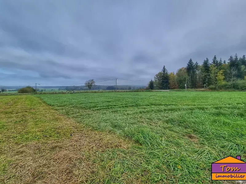 Terrain, 1 173 m²