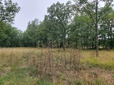 Terrain, 2 954 m²
