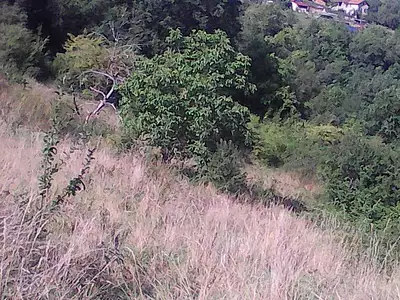 Terrain, 8 317 m²