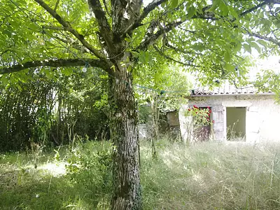 Maison, 80 m²