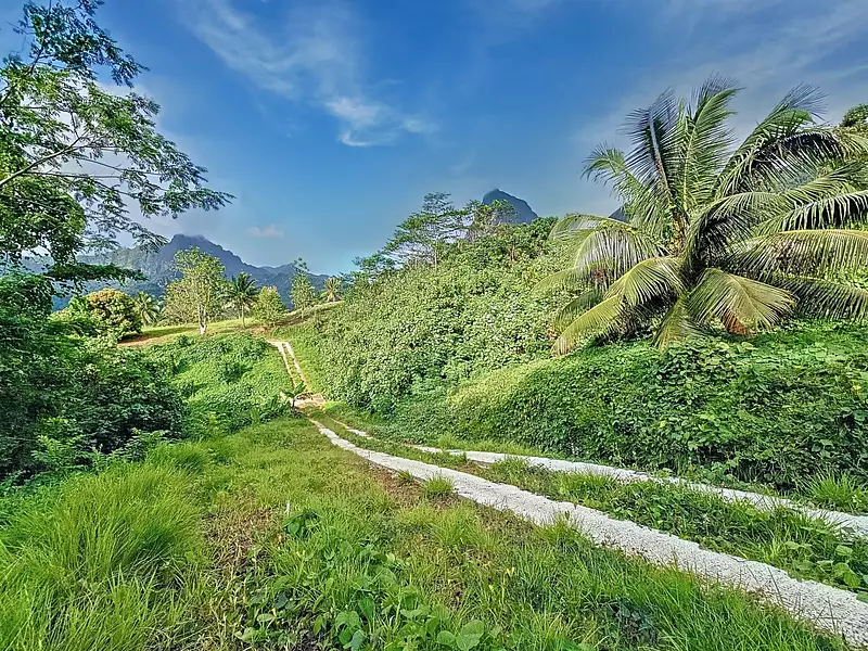 Terrain, 1 900 m²