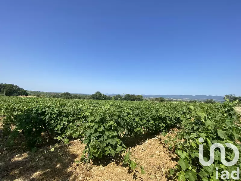 Terrain, 58 175 m²