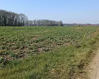 Terrain, 659 m²