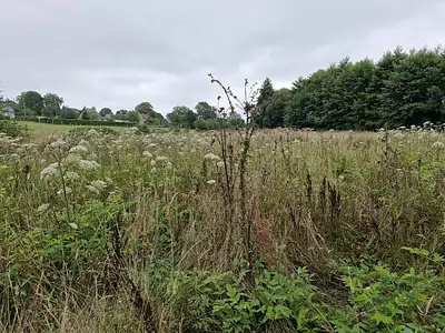 Terrain, 10 461 m²