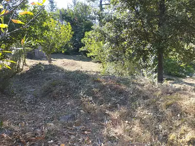 Terrain, 1 692 m²