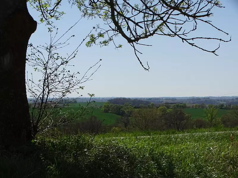 Terrain, 2 337 m²