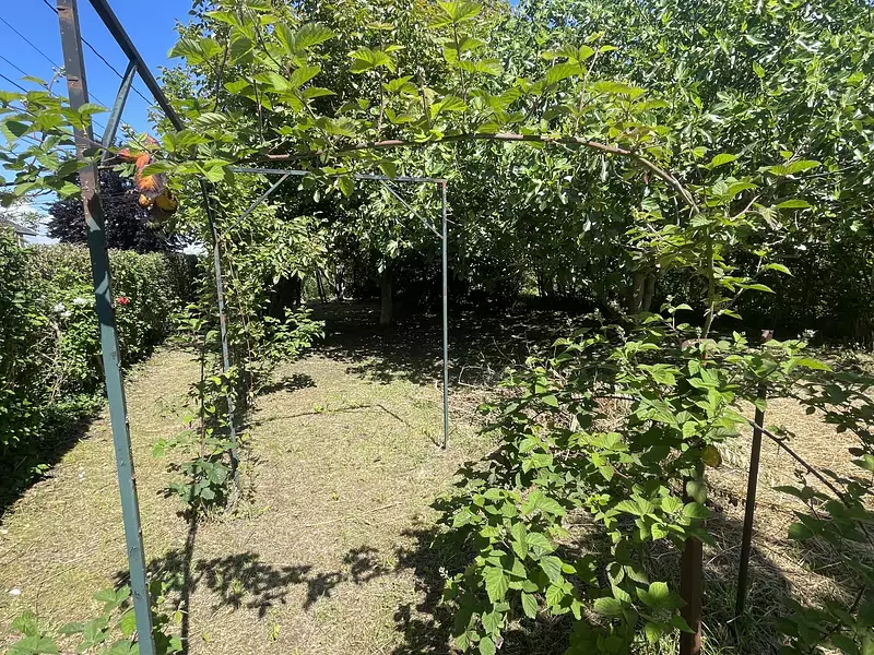 Terrain, 899 m²