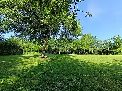 Terrain, 824 m²