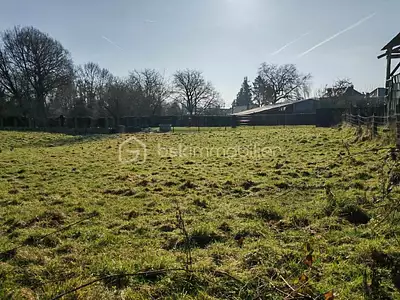 Terrain, 1 195 m²