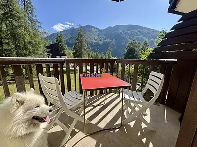 Appartement, 30,8 m²