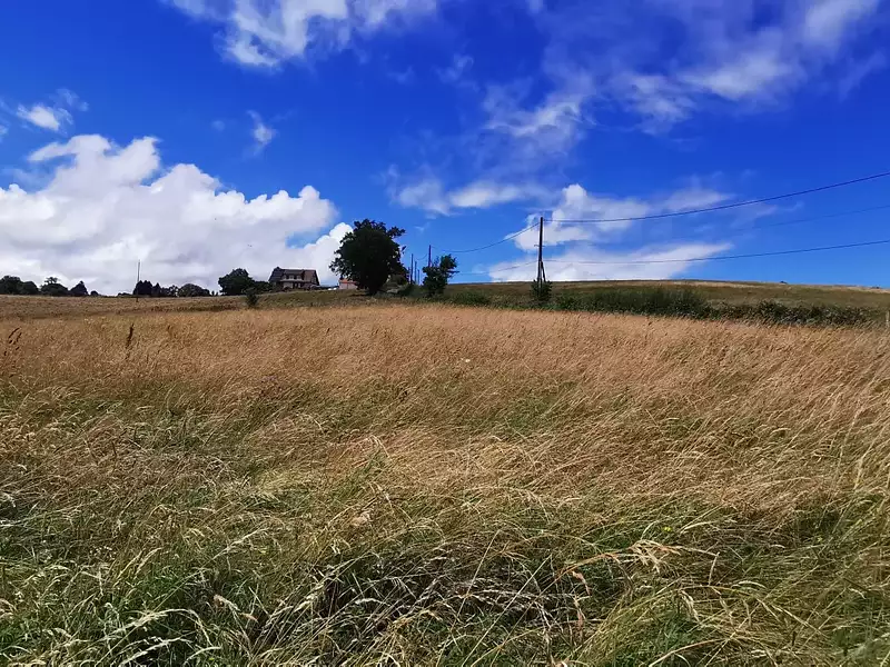 Terrain, 5 436 m²