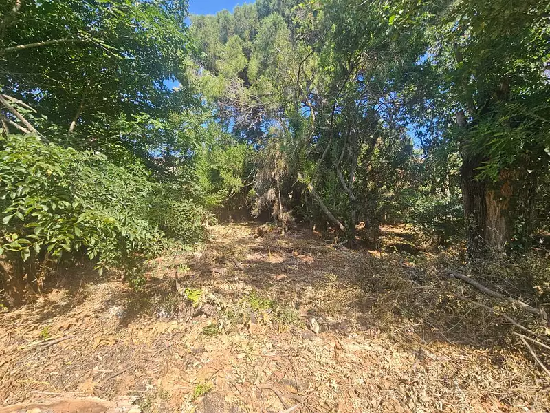 Terrain, 950 m²