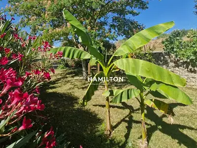 Maison, 230 m²