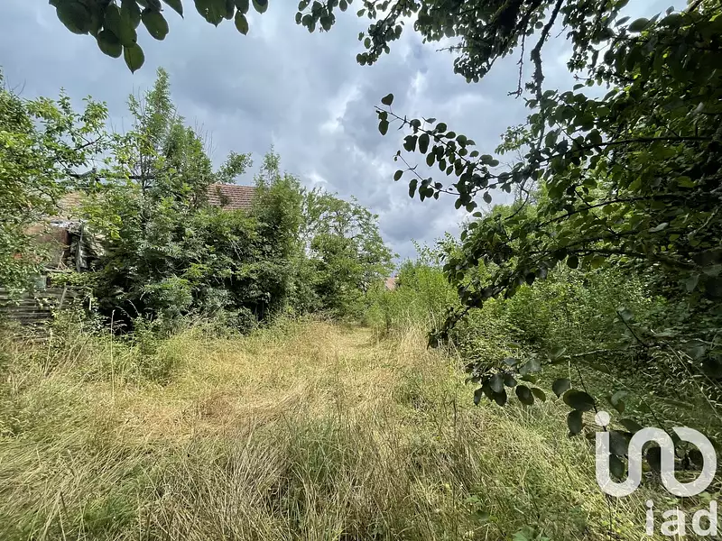 Maison, 53 m²