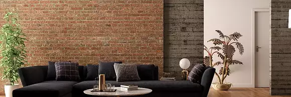 Philippe Lecoustre - TEATIME IMMO