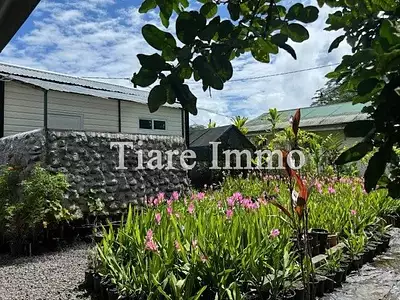 Maison, 74 m²