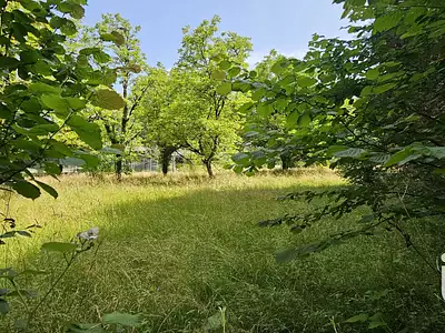 Terrain, 4 087 m²