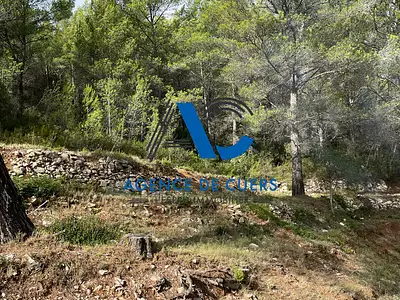 Terrain, 30 000 m²