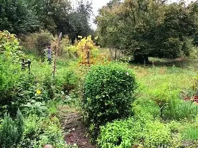 Maison, 55 m²