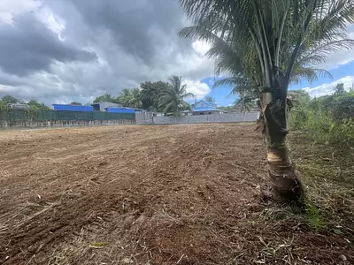 Terrain, 1 534 m²