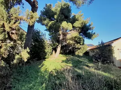 Terrain, 364 m²