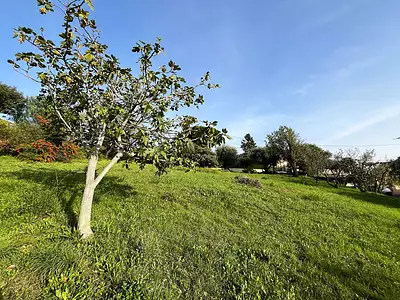 Terrain, 1 720 m²