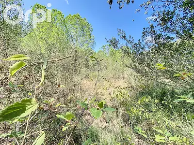 Terrain, 3 880 m²