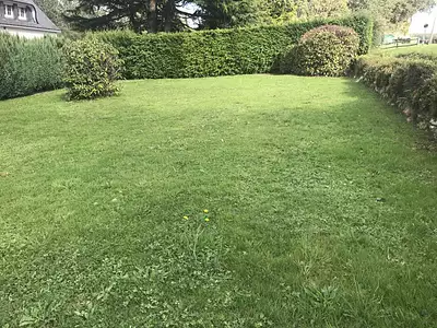 Maison, 98 m²