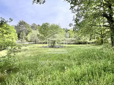 Maison, 320 m²