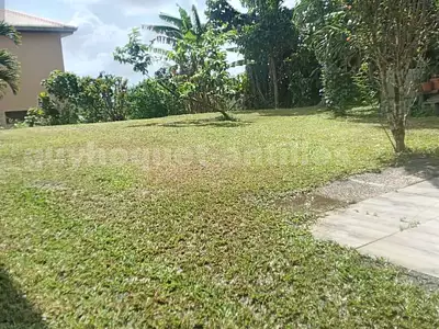 Maison, 70,2 m²