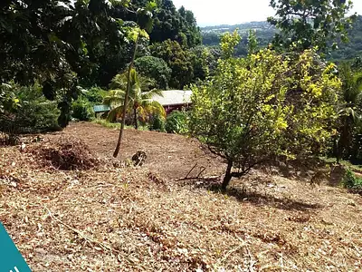 Terrain, 886 m²
