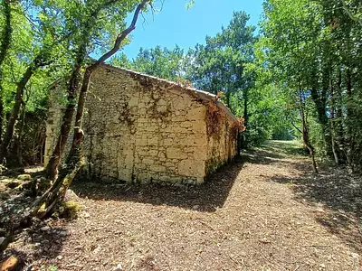 Maison, 30 m²