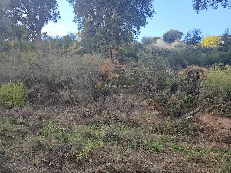 Terrain, 1 606 m²