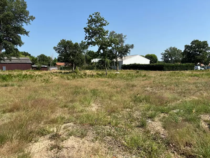 Terrain, 1 240 m²